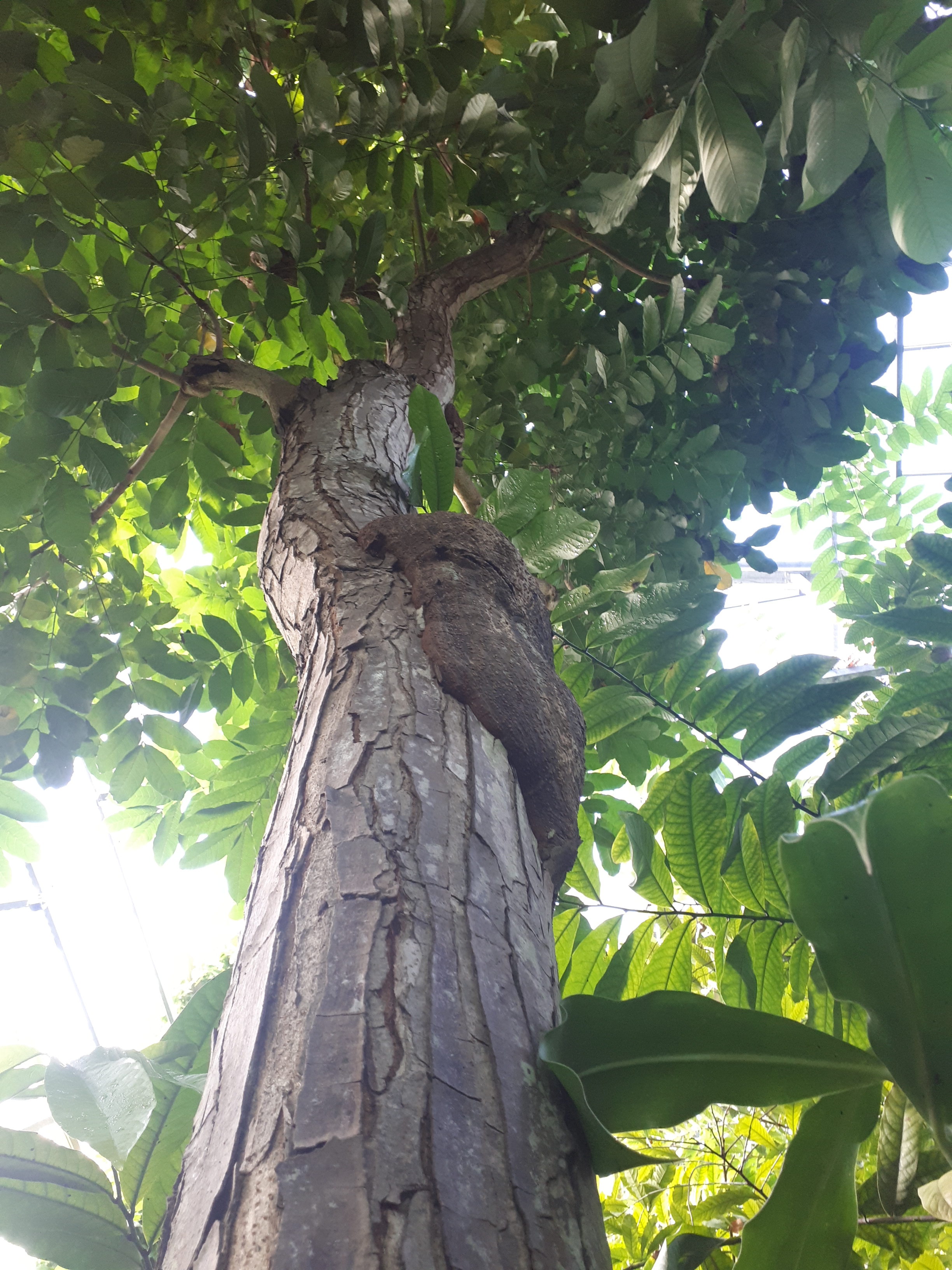 Detail image , , , , 