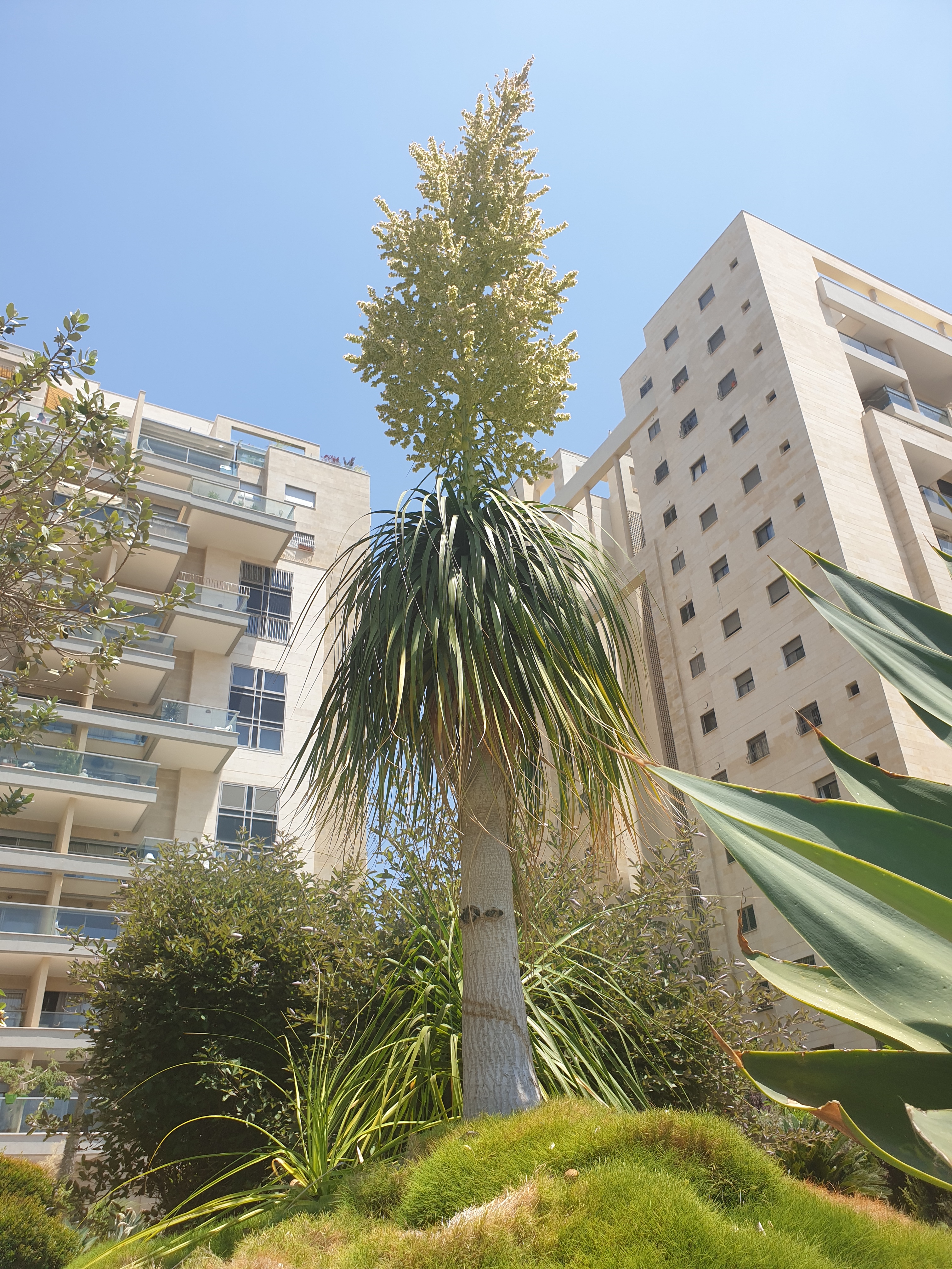 Detail image , , , , 