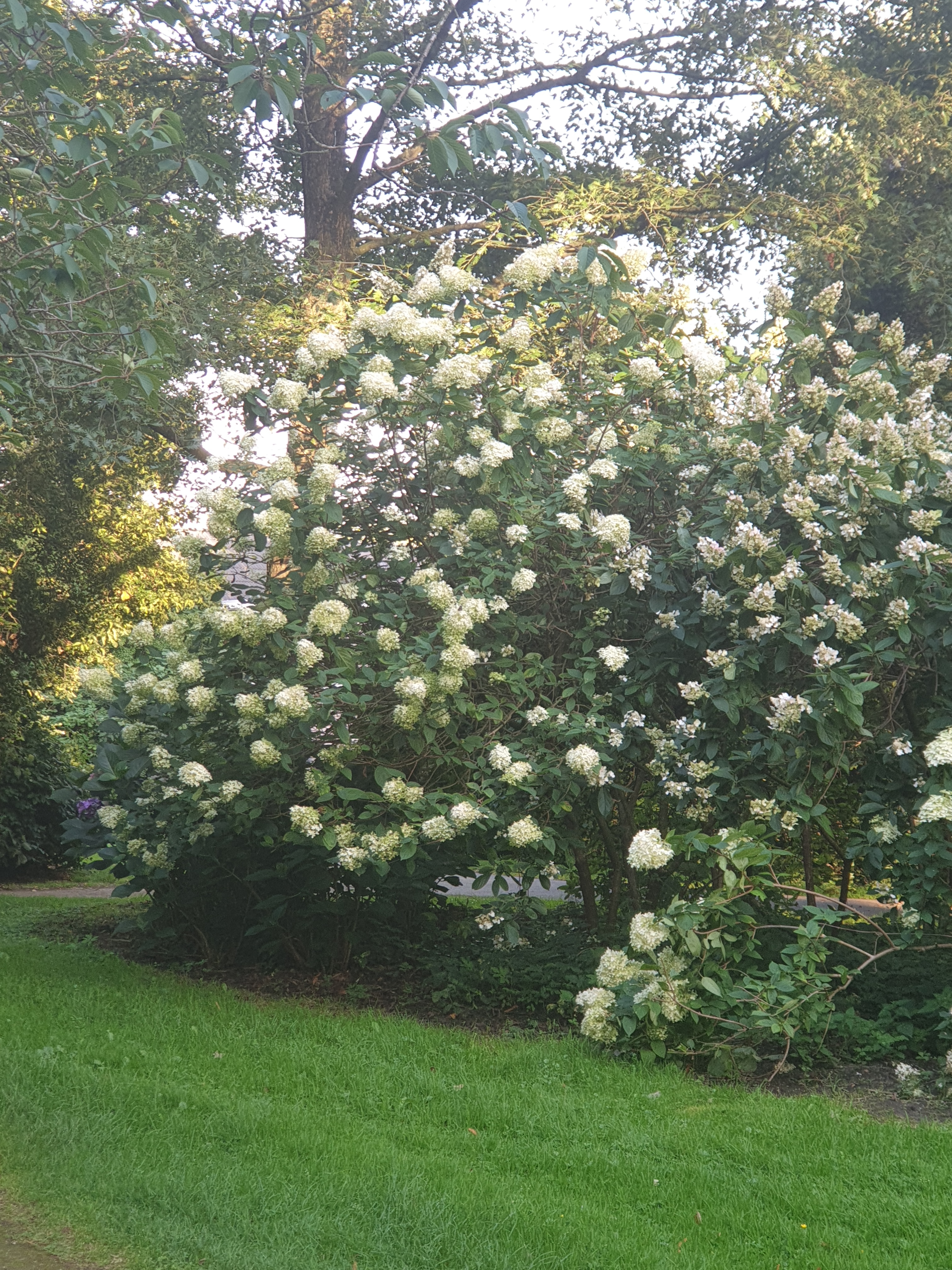 Detail image , , , , 