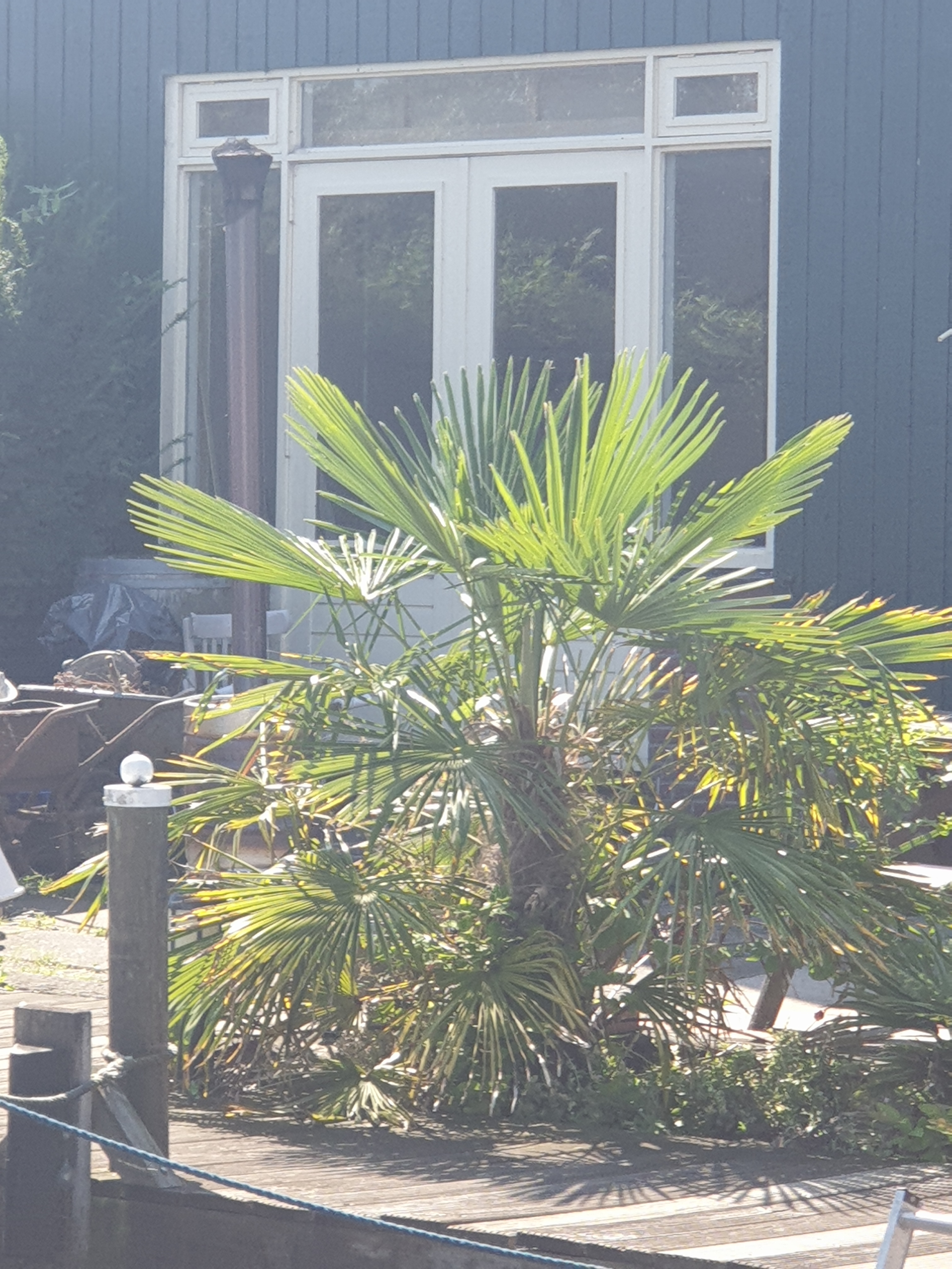 Detail image , , , , 