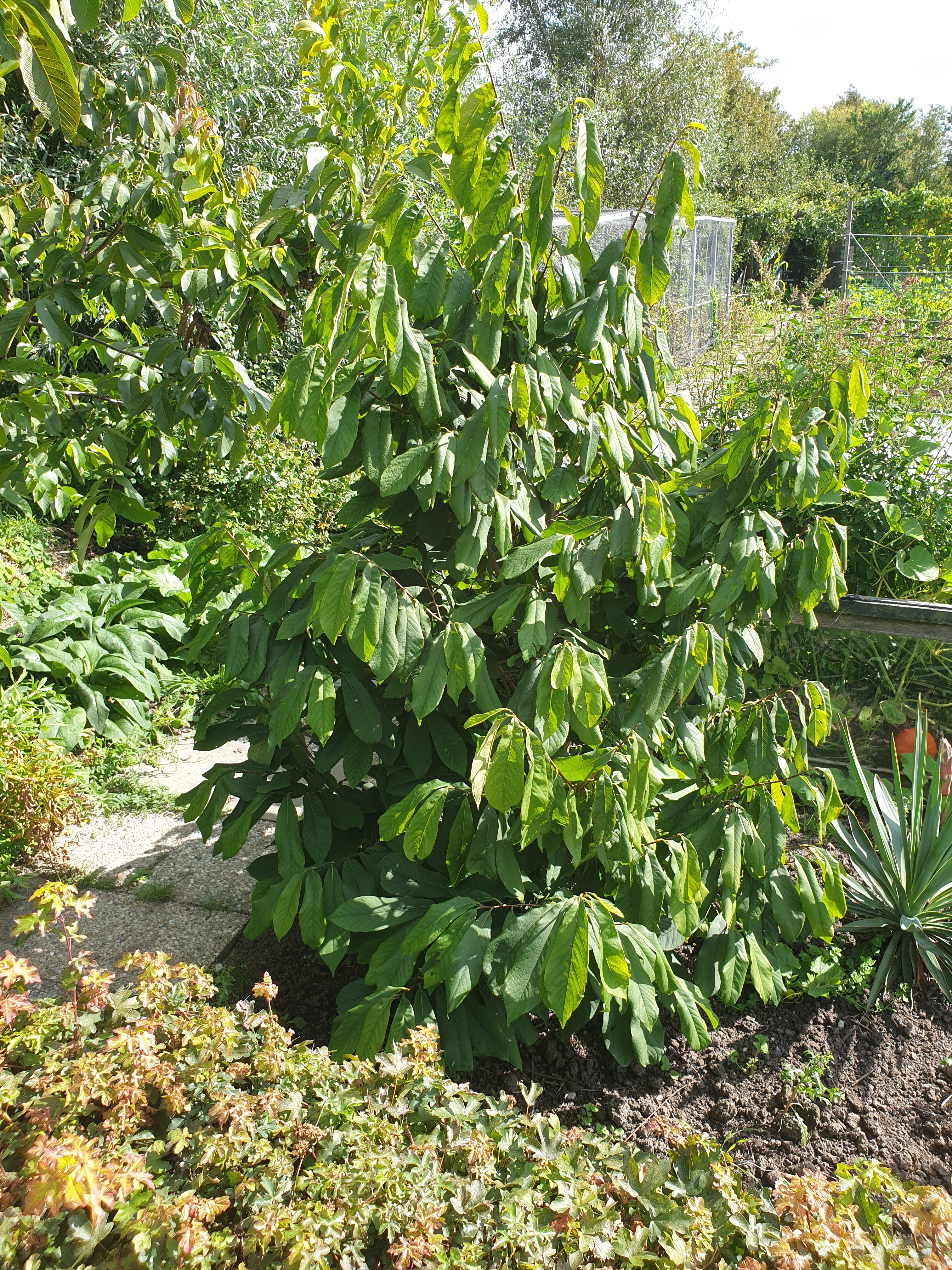 Detail image , , , , 