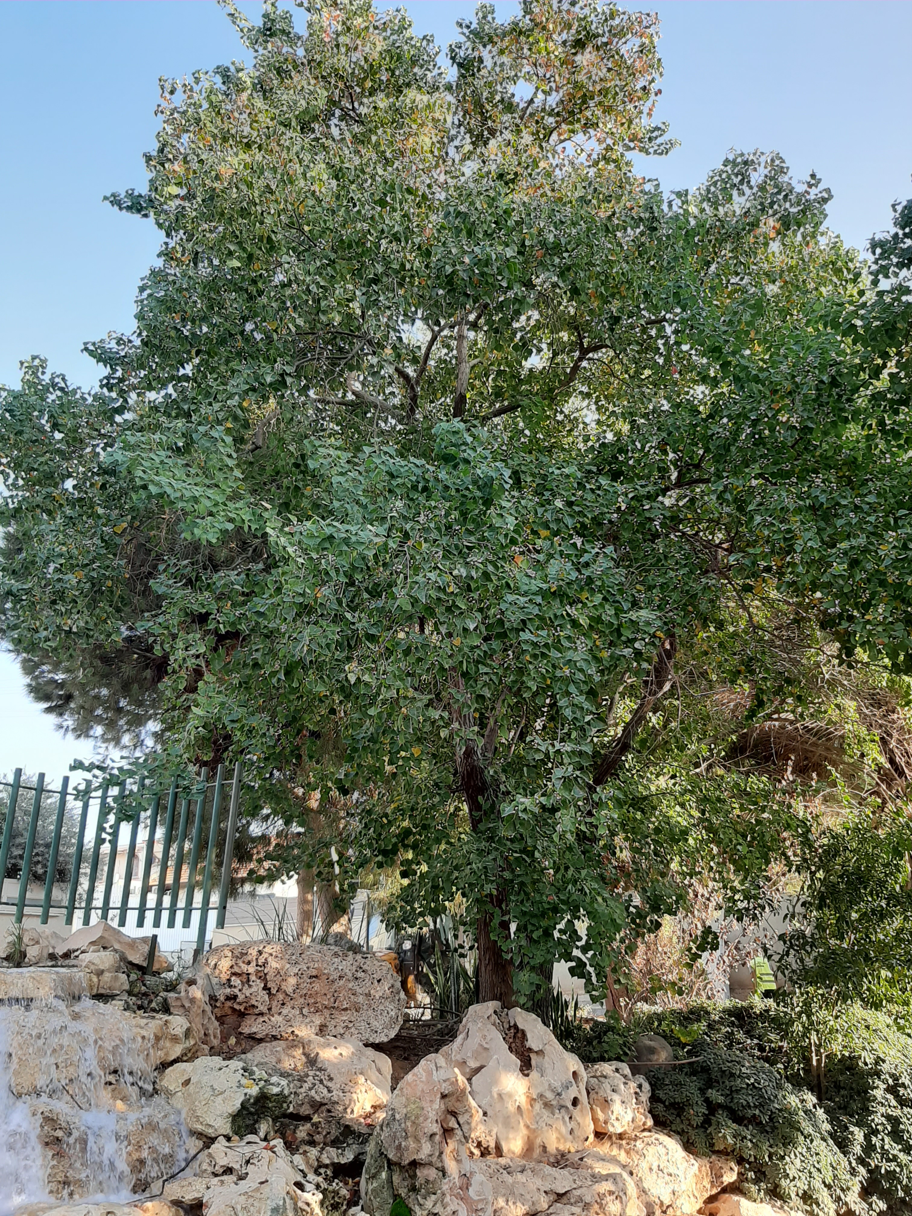 Detail image , , , , 