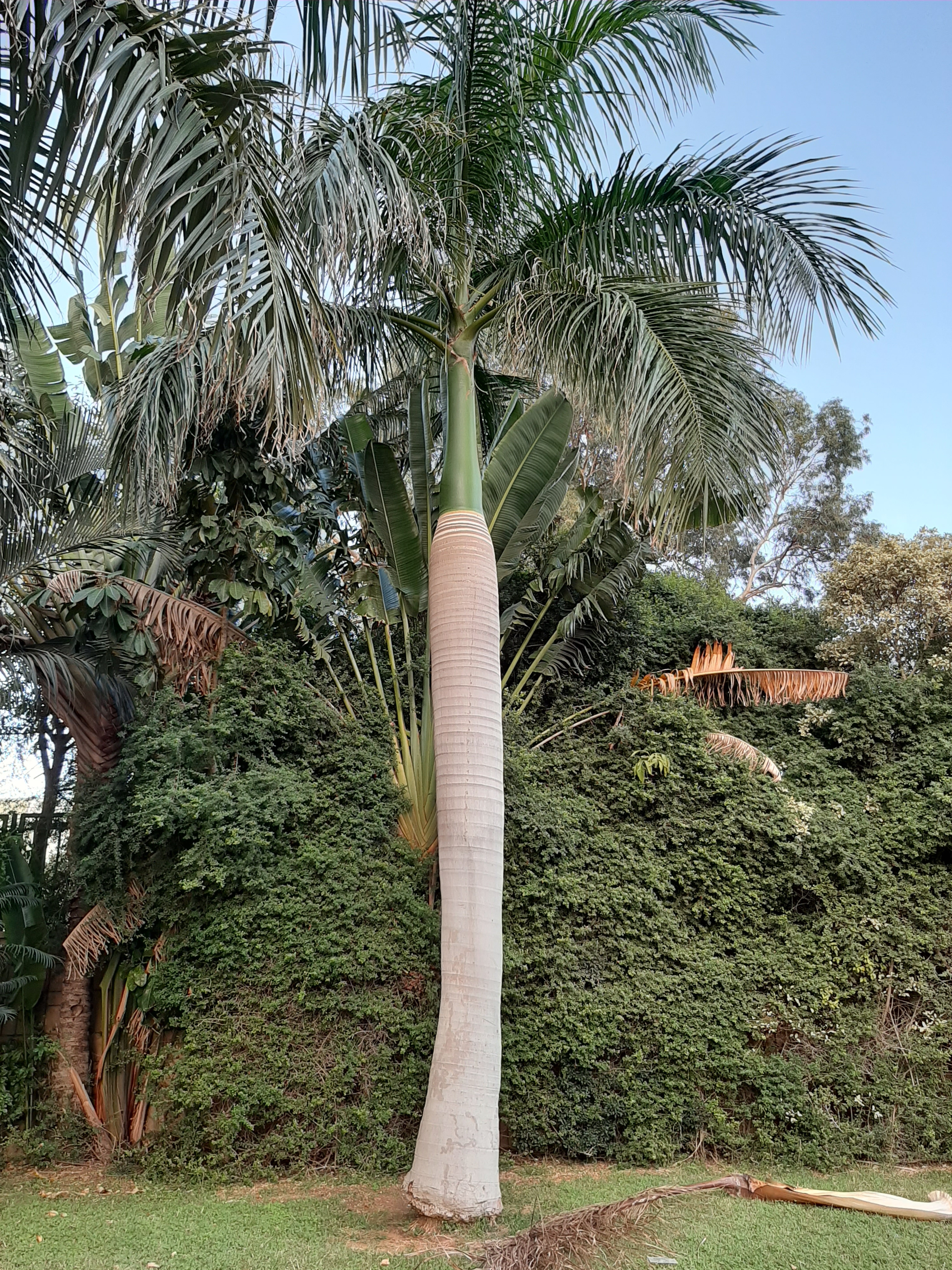 Detail image , , , , 