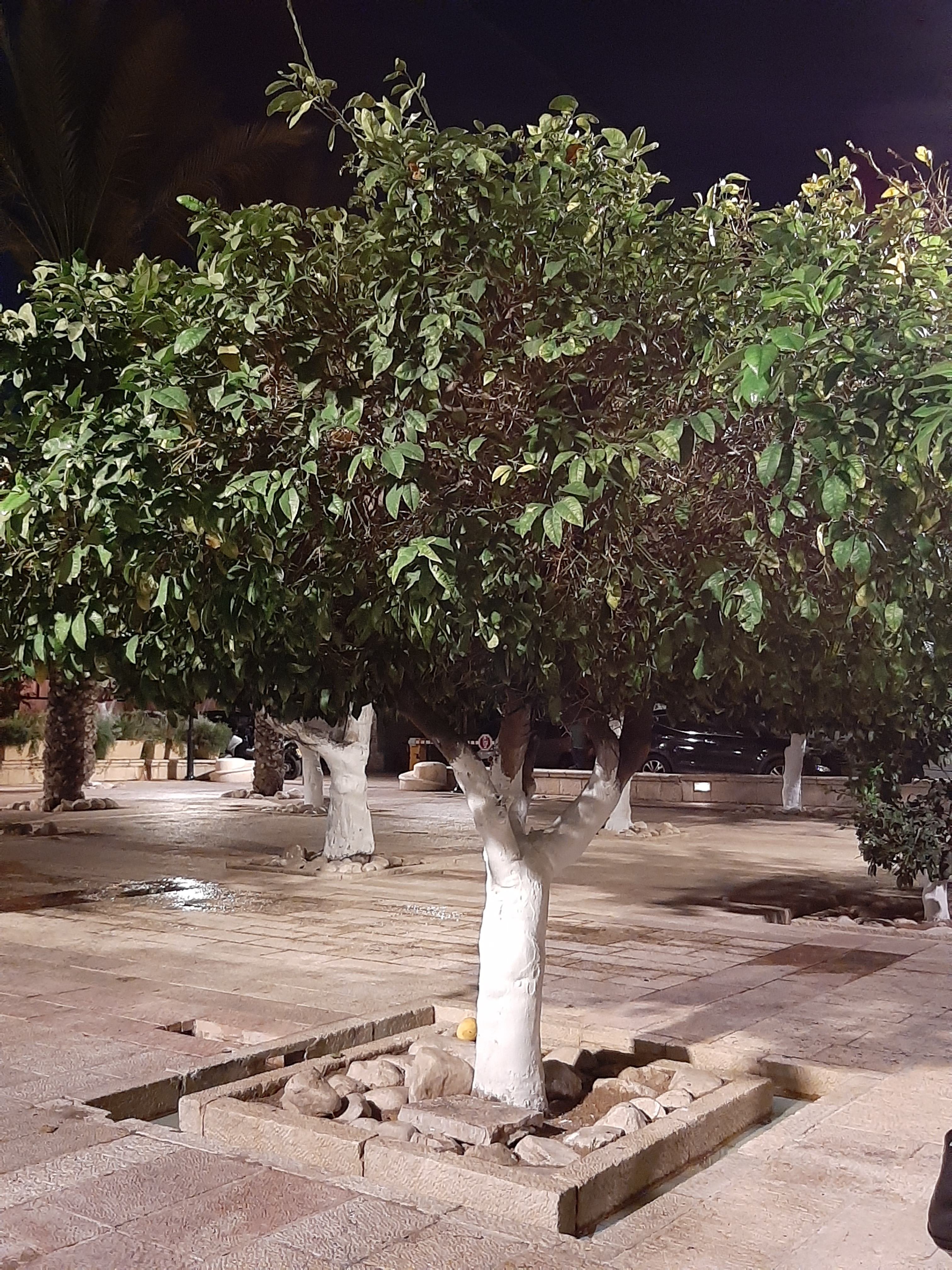 Detail image , , , , 