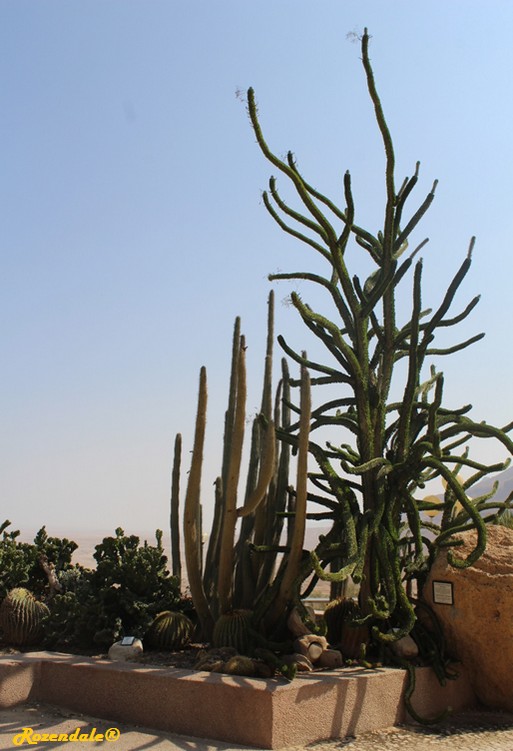 Detail image , , , , 