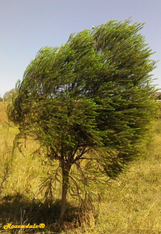 Detail image , , , , 