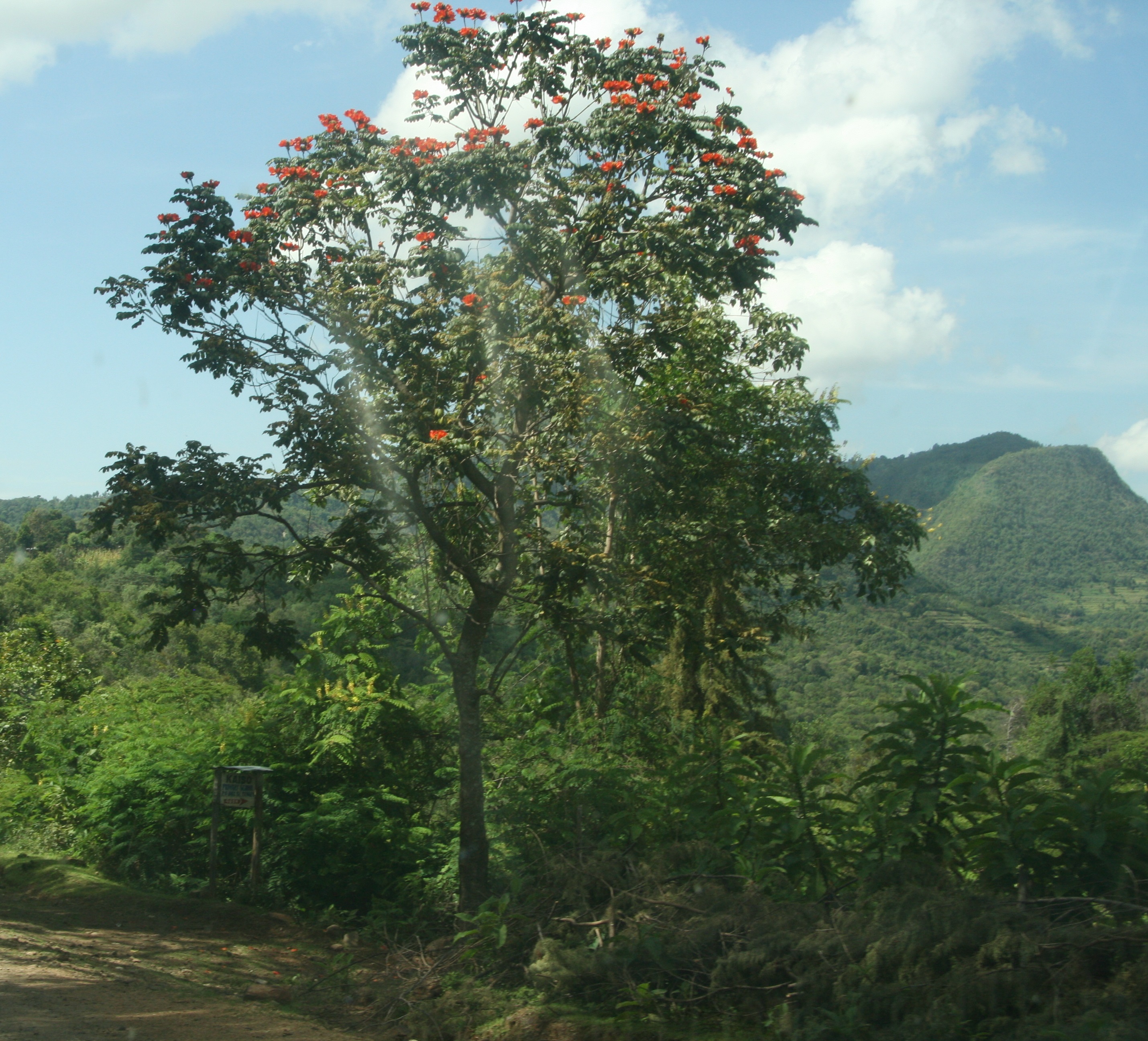 Detail image , , , , 