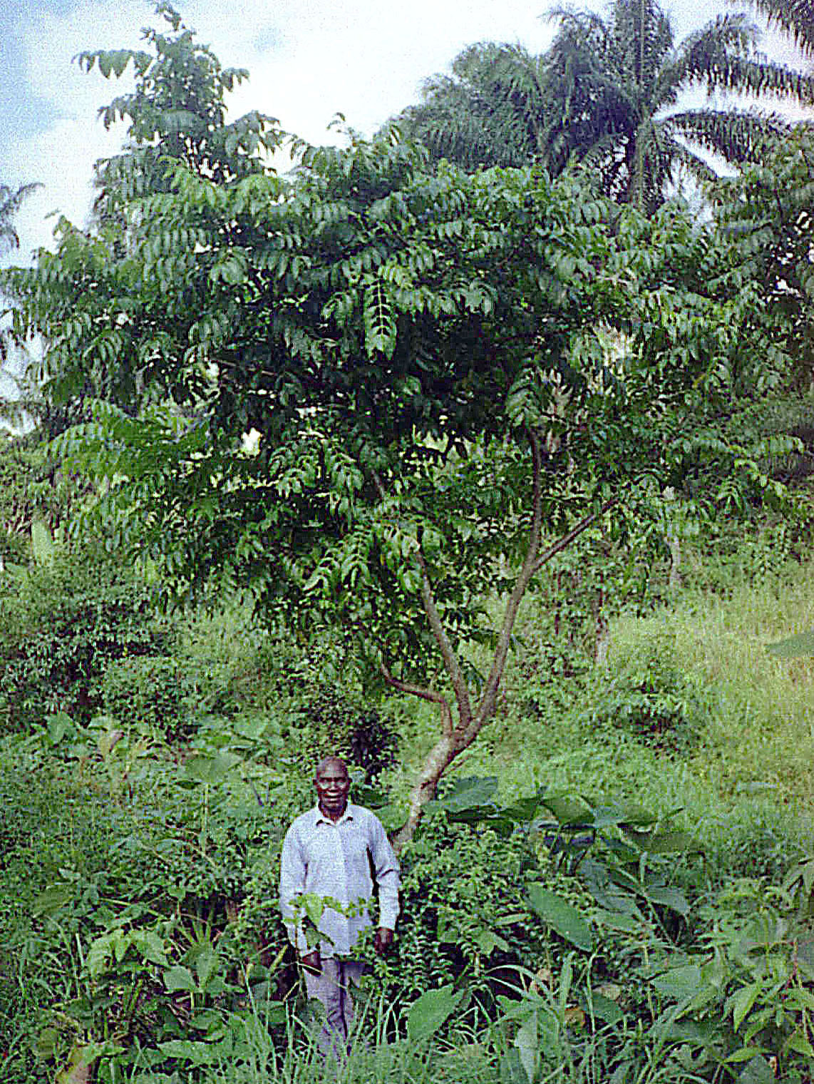 Detail image , , , , 