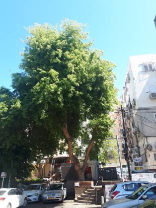 Vertical Photo