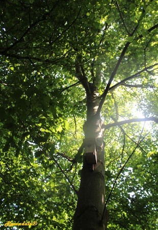 Vertical Photo