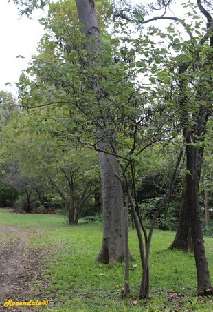 Vertical Photo