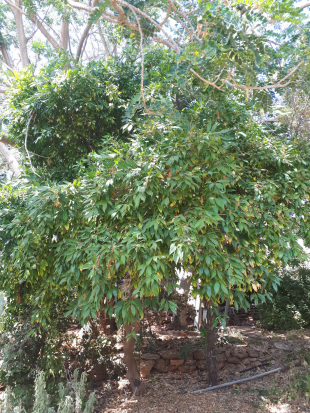 Vertical Photo