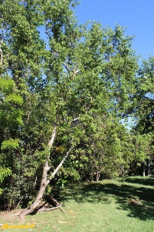 Vertical Photo