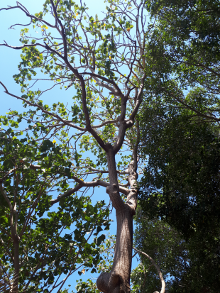 Vertical Photo