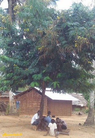 Vertical Photo