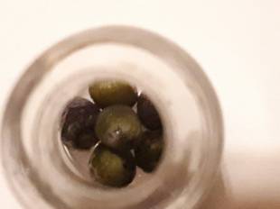 Seeds Photo